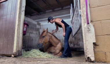 Western New York rallies around horse trainer battling Stage 4 cancer