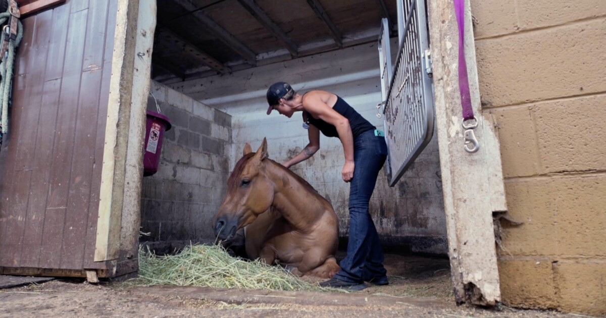 Western New York rallies around horse trainer battling Stage 4 cancer