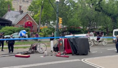 Teen killed after horse carriage crashes in Central Park