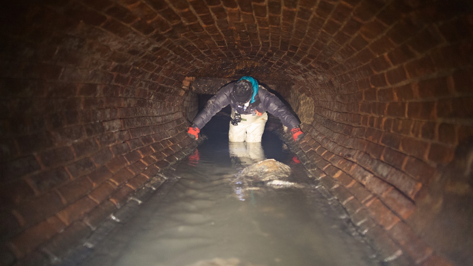 What it's like to go inside New York City's dank, dangerous, bug-filled sewers