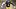 Pittsburgh Steelers linebacker Patrick Queen Pittsburgh Steelers linebacker Patrick Queen