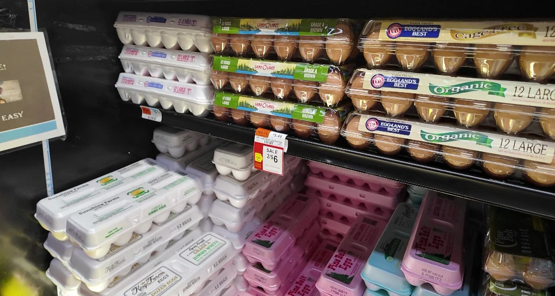 News 12 | Brooklyn | Three Egg Companies Allegedly Worked Together To Raise The Price Of Eggs Investigation Finds