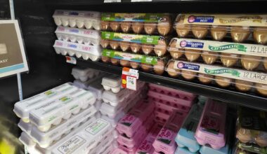 News 12 | Brooklyn | Three Egg Companies Allegedly Worked Together To Raise The Price Of Eggs Investigation Finds