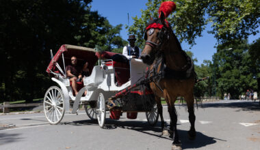 Last Roundup? NYC Council Hearing Set Over Central Park Horse Carriage Ban