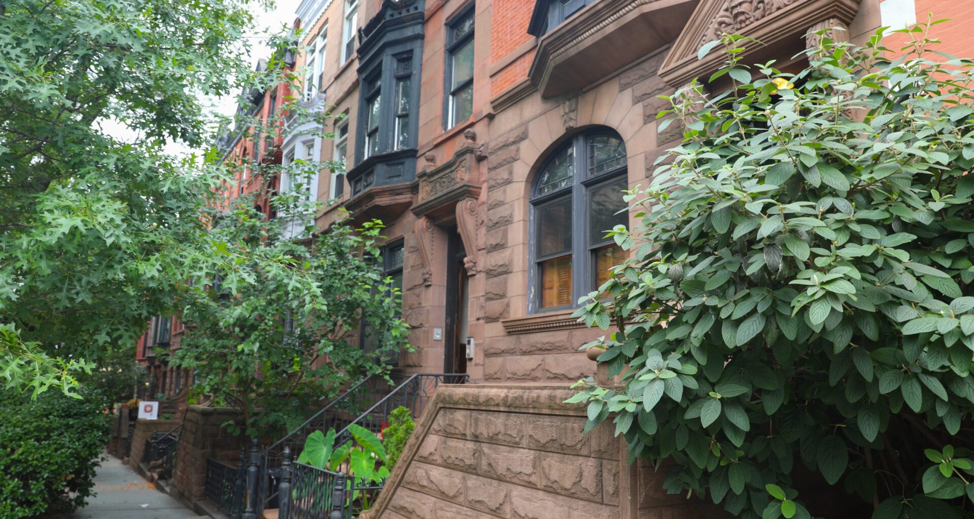 Die-Hard New Yorkers Blanche at Mamdani's Pied-A-Terre J'Accuse