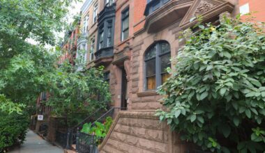 Die-Hard New Yorkers Blanche at Mamdani's Pied-A-Terre J'Accuse