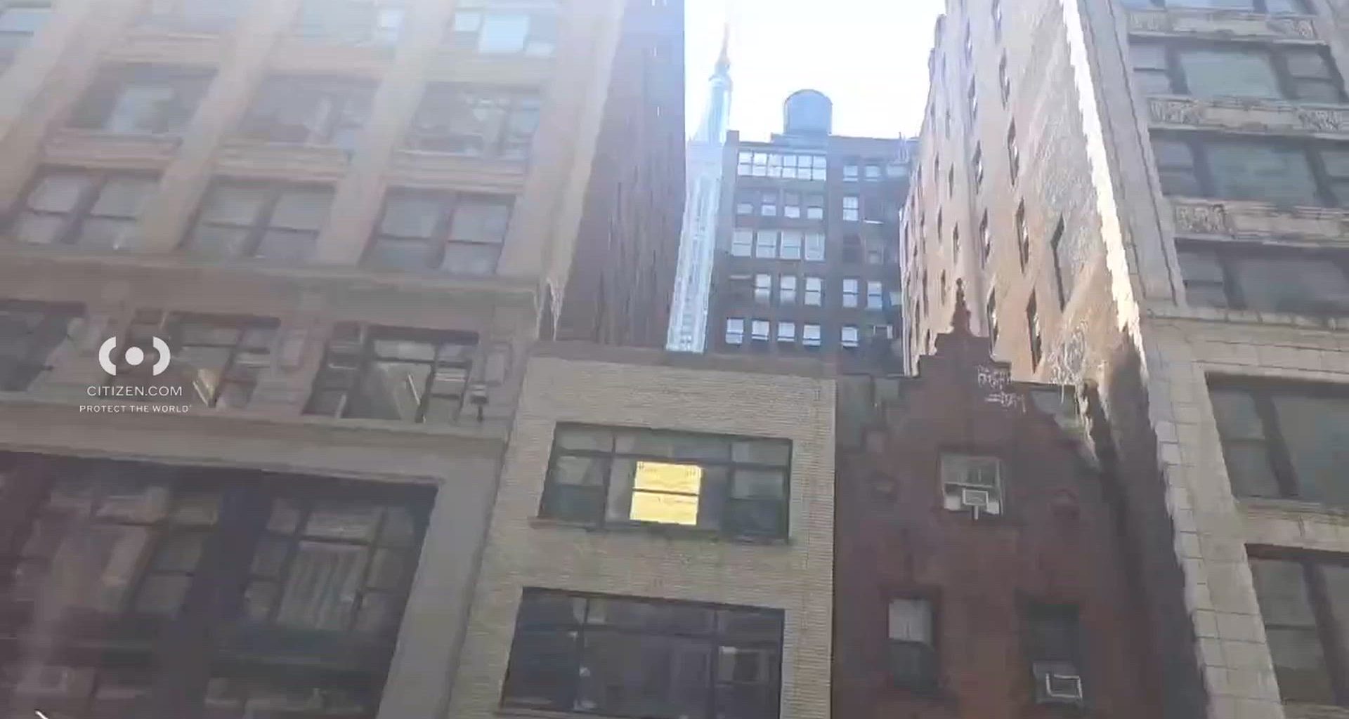 LEANNENYC1 (16)
