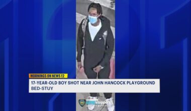 News 12 | Brooklyn | Four Men Sought For Shooting 17 Year Old Boy In Bed Stuy