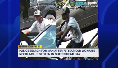 News 12 | Brooklyn | Police Seek Man Accused Of Snatching 79 Year Old Womans Necklace In Sheepshead Bay
