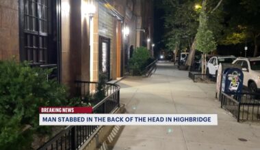 News 12 | Bronx | Highbridge Man Stabbed In The Back Of The Head Attacker On The Run
