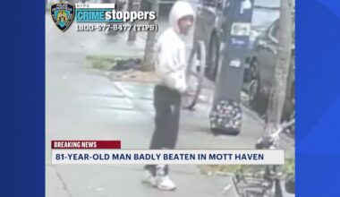 News 12 | Bronx | Man On The Run After Assaulting 81 Year Old In Mott Haven