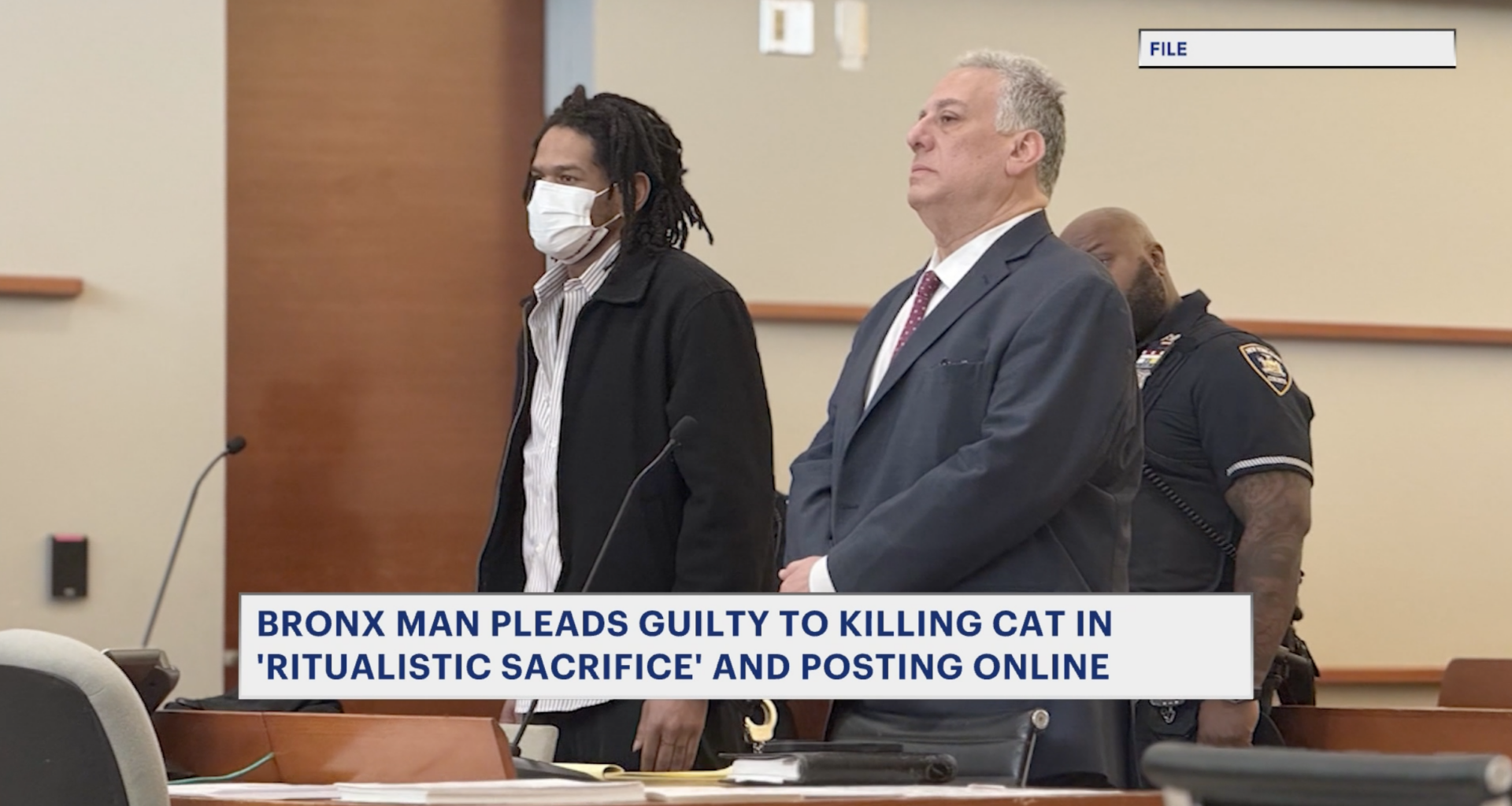 News 12 | Brooklyn | Bronx Man Agrees To 2 Year Prison Sentence In Cat Killing Case