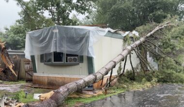 Trees fall in River Valley Estates, damaging home