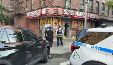 12-year-old boy shot dead in Mount Eden, The Bronx – NBC New York