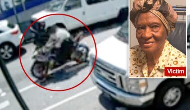 Disturbing video captures moment 93-year-old great granny is killed by cowardly hit-and-run biker