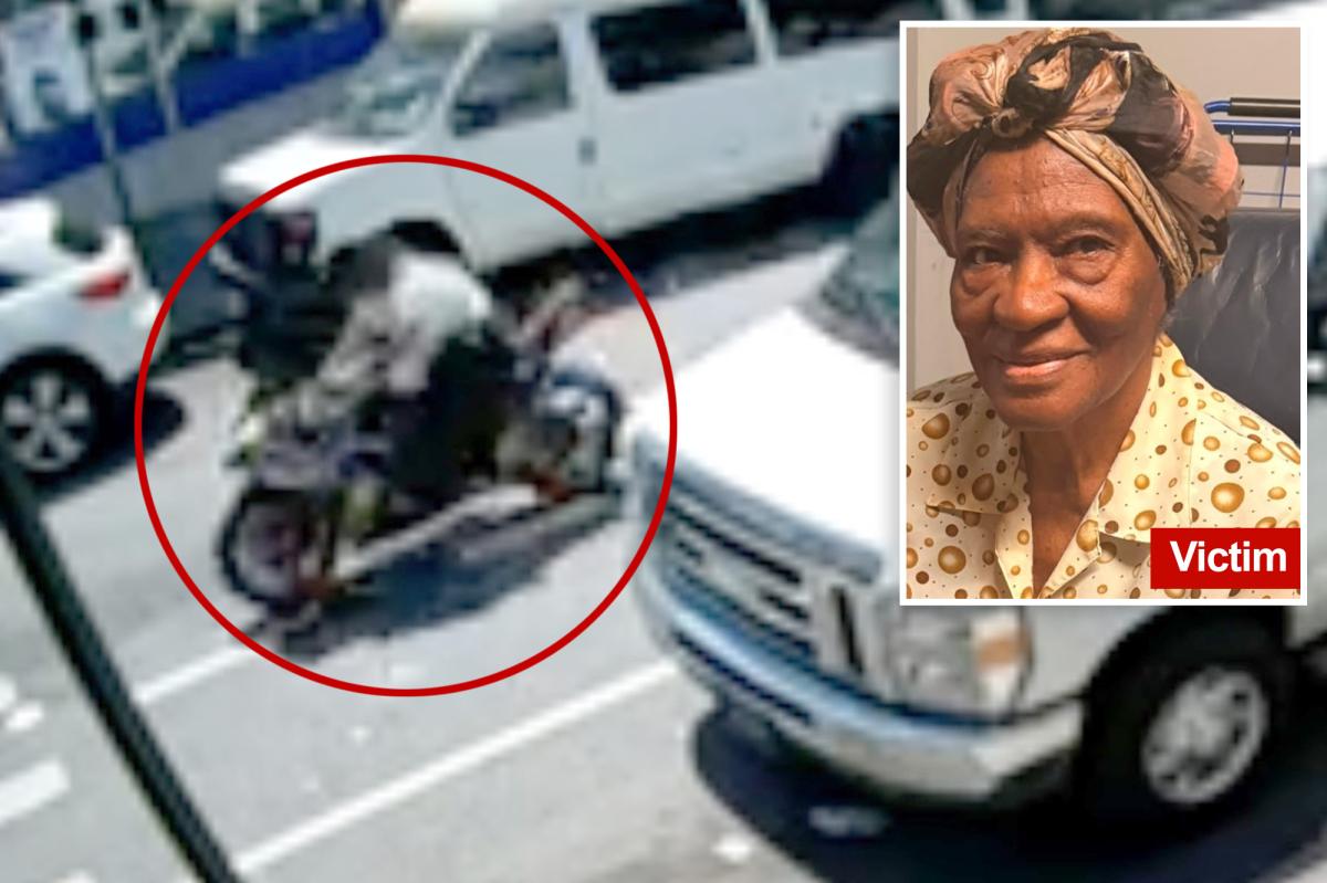 Disturbing video captures moment 93-year-old great granny is killed by cowardly hit-and-run biker