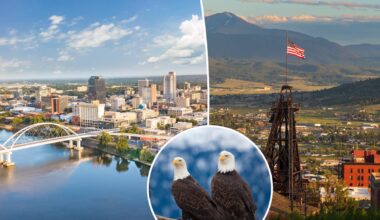 New York one of the least patriotic states: Study