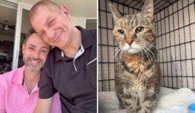 Cat survives more than a week trapped inside NYC home that was sealed by cops after owners died