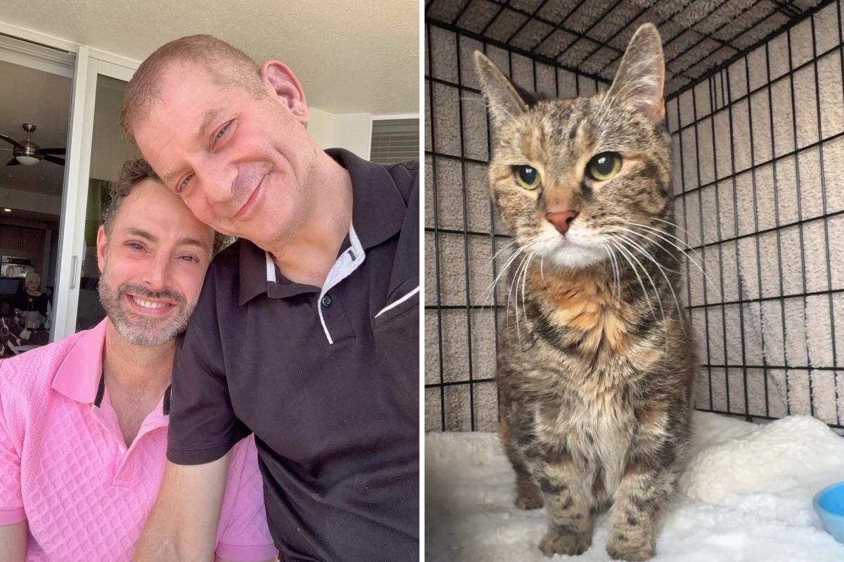 Cat survives more than a week trapped inside NYC home that was sealed by cops after owners died