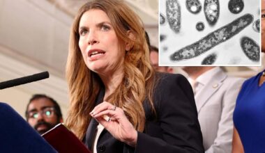 Council Speaker Julie Menin demands NYC-ordered cooling tower inspections as Legionnaires' disease outbreak increases