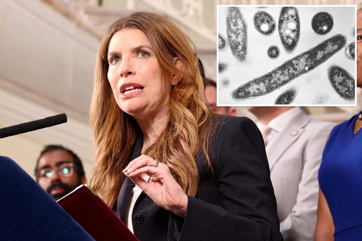 Council Speaker Julie Menin demands NYC-ordered cooling tower inspections as Legionnaires' disease outbreak increases