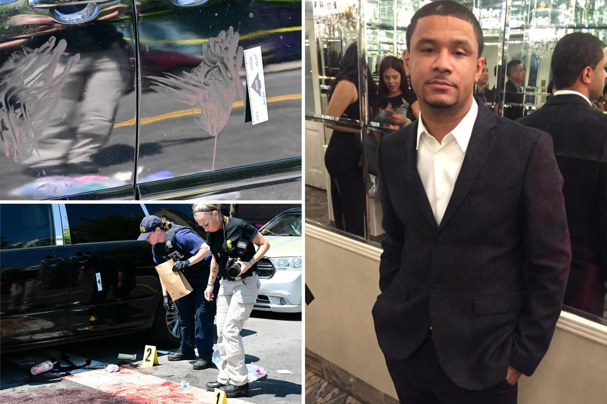 Devastated family of NYC man stabbed to death by rowdy mob outside club demands justice
