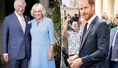 Queen Camilla's role in Prince Harry, King Charles' reunion revealed