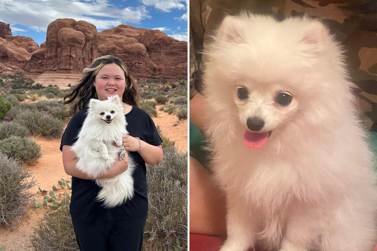 Owner demands $3M after vet ignores dogs while she died during labor