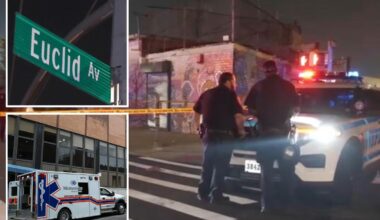 BMW driver rams into boy, 6, crossing NYC street with parent