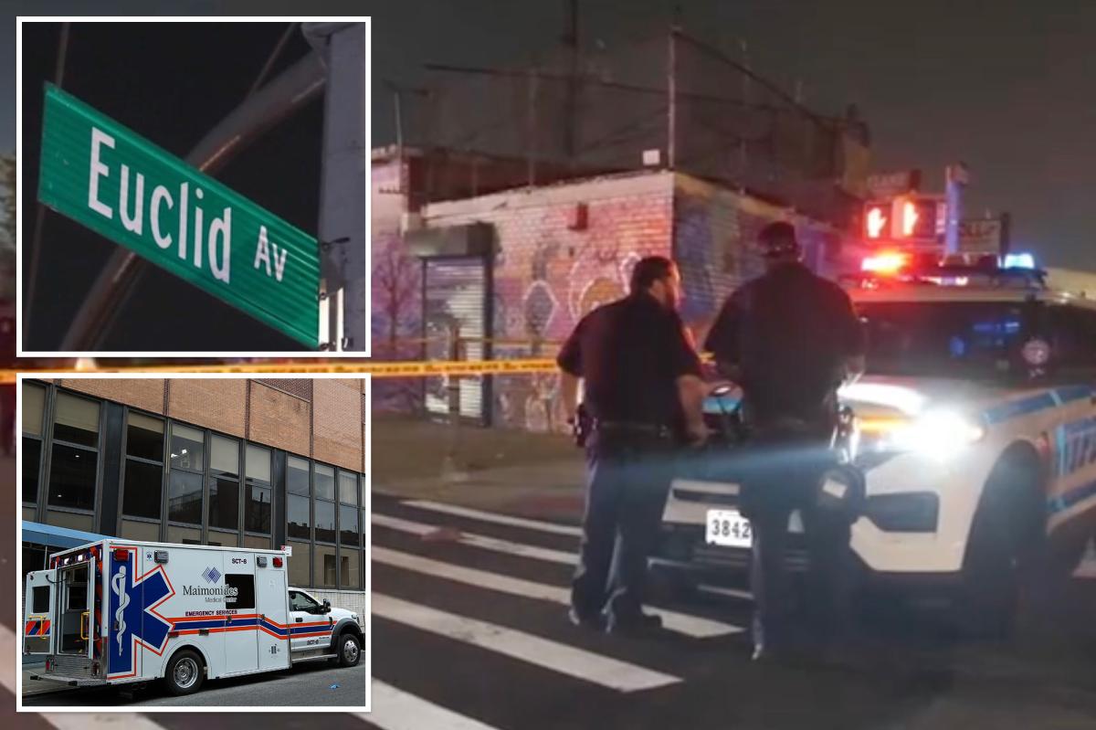BMW driver rams into boy, 6, crossing NYC street with parent