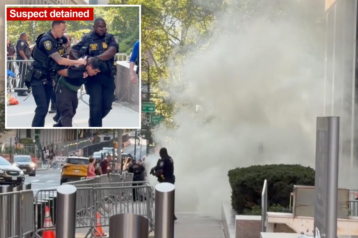 Terrorism task force probes armed loon who set off 'incendiary device' outside NYC fed HQ