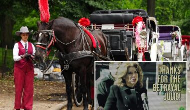 Union for NYC's embattled horse carriages rips Council Speaker Menin as traitor