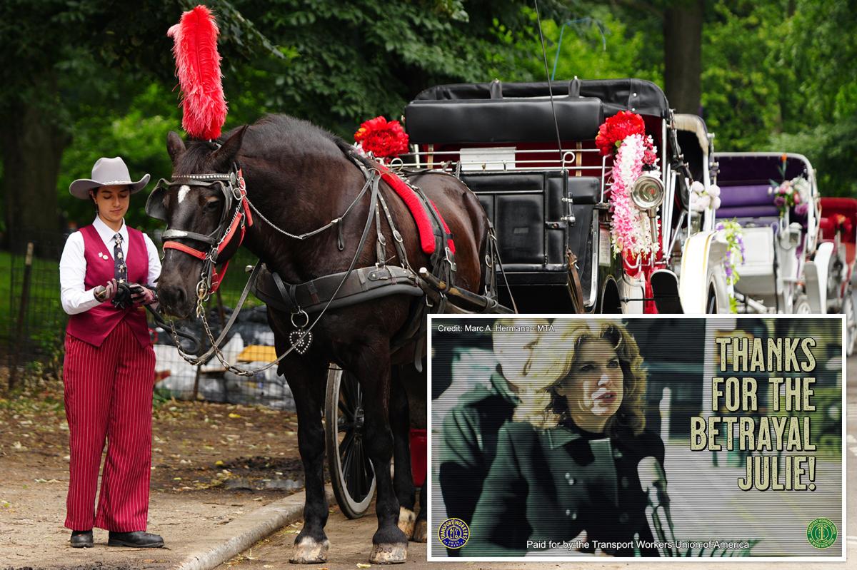 Union for NYC's embattled horse carriages rips Council Speaker Menin as traitor