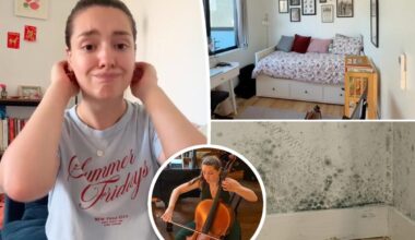 Julliard graduate faces mold in dream Manhattan penthouse