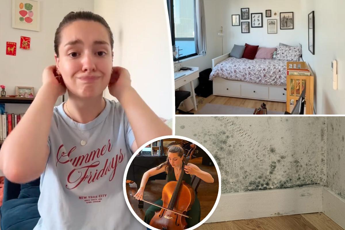 Julliard graduate faces mold in dream Manhattan penthouse