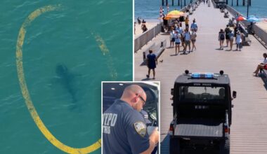 NYPD deploys drones to track sharks after rise in sightings off NYC beaches