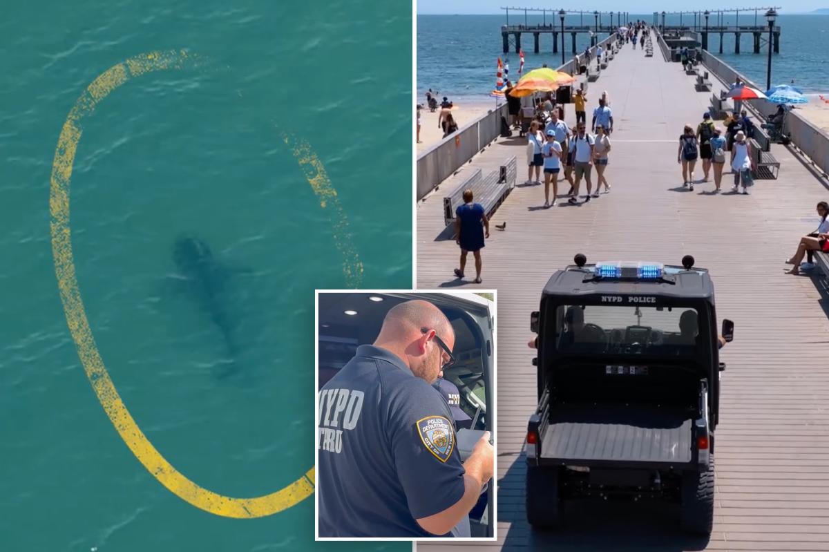 NYPD deploys drones to track sharks after rise in sightings off NYC beaches