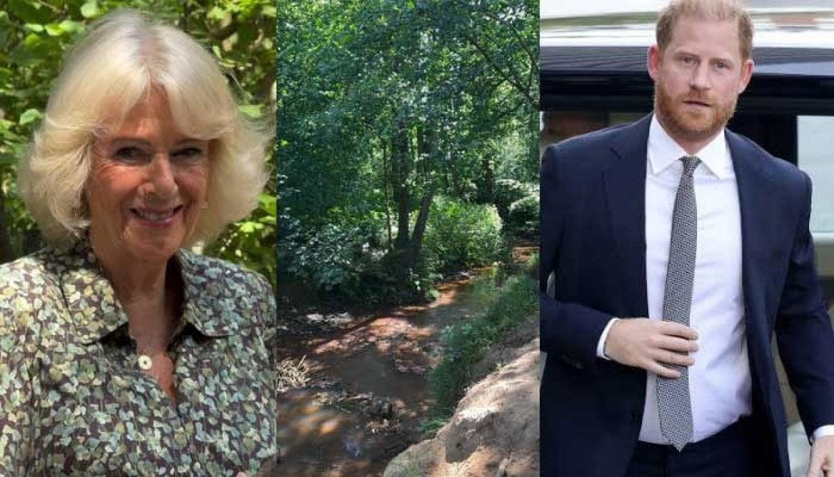 Queen Camilla in Sussex woods as Prince Harry arrives in UK