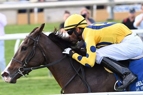 La Mehana wins the 2024 Waya Stakes at Aqueduct Racetrack