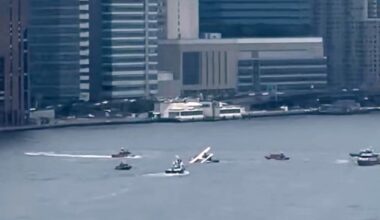 NYC's East River Had an Unexpected Weekend Guest