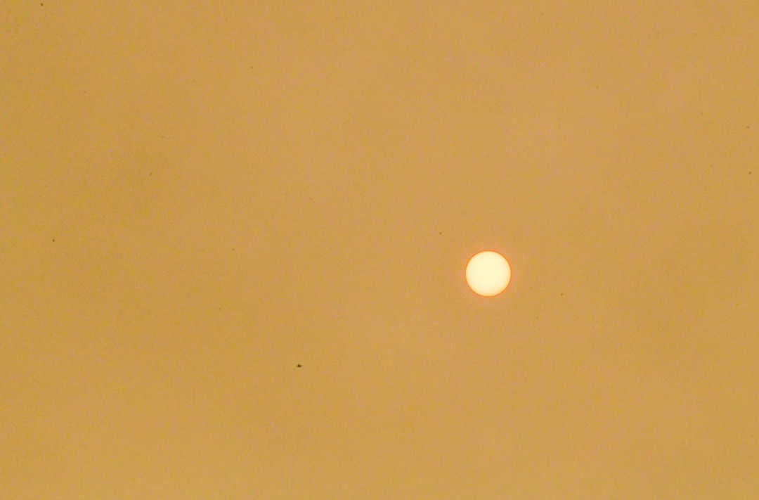 A 'Most Significant Smoke Event' Is Set to Consume NYC