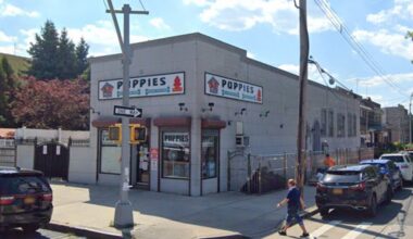 AG Letitia James sues Brooklyn puppy store for violating ban on selling dogs