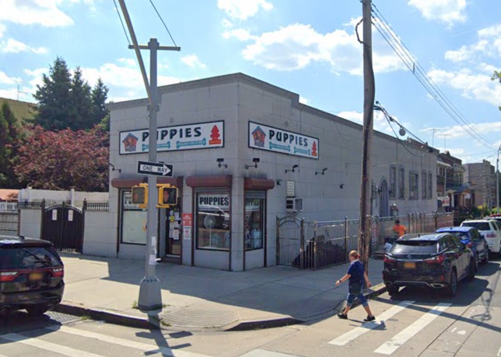 AG Letitia James sues Brooklyn puppy store for violating ban on selling dogs