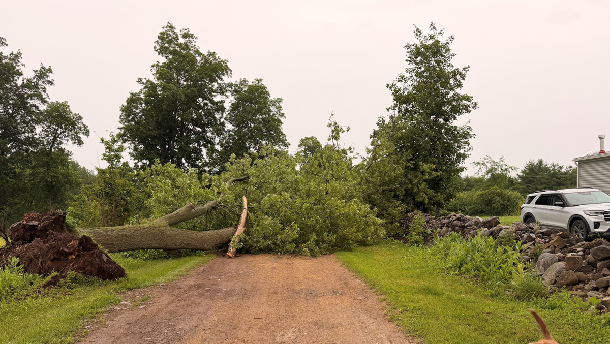 Storms knock down trees and powerlines across Vermont, New York