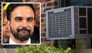 Republicans slam Mamdani for asking New York to turn down AC