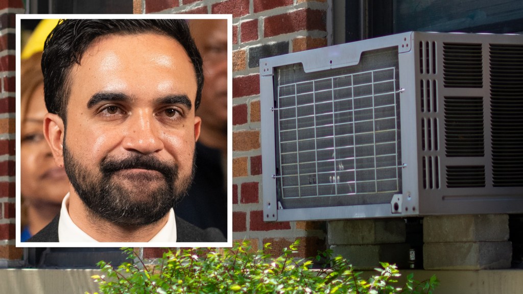 Republicans slam Mamdani for asking New York to turn down AC