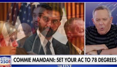Greg Gutfeld: New York socialist brat is coming for your thermostat