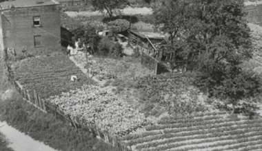 Aerial view of a small two-story brick house surrounded by an extensive garden, featuring rows of crops, trees, and garden structures. People are seen tending to the garden, with a dirt path in the foreground.