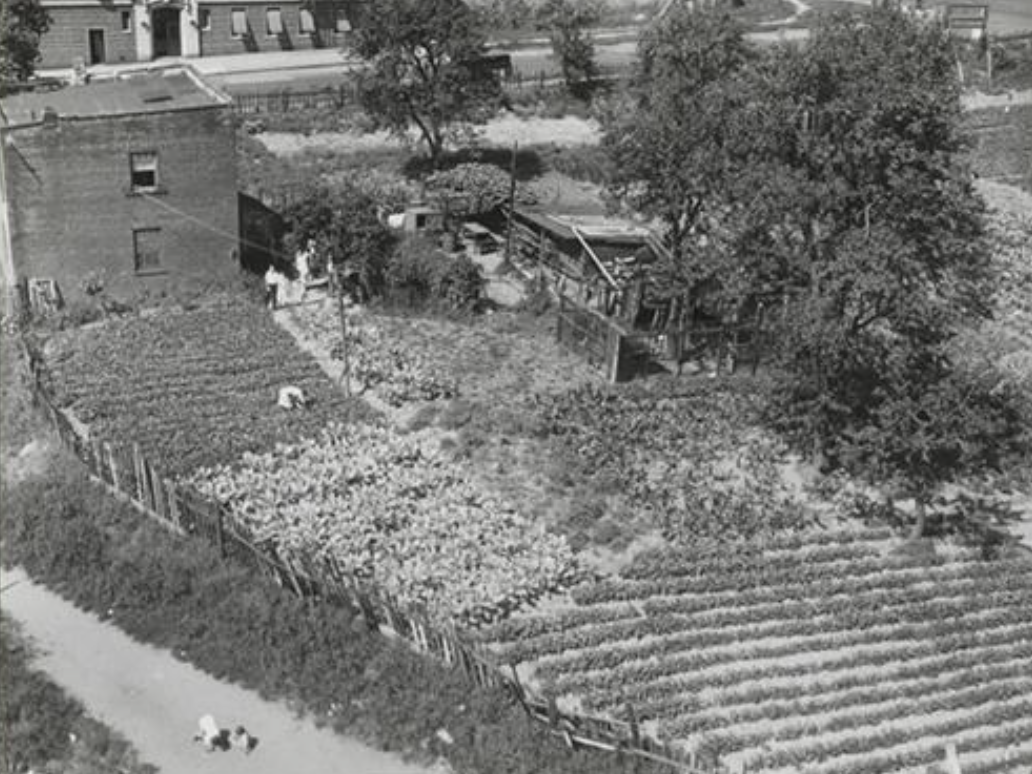 Aerial view of a small two-story brick house surrounded by an extensive garden, featuring rows of crops, trees, and garden structures. People are seen tending to the garden, with a dirt path in the foreground.