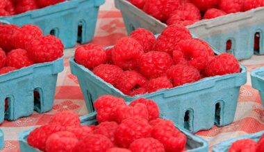 Cyclosporiasis in NY and NJ: List of foods linked to some outbreaks